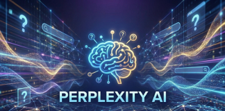 Perplexity Yaay Zeka